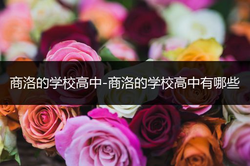 商洛的学校高中-商洛的学校高中有哪些
