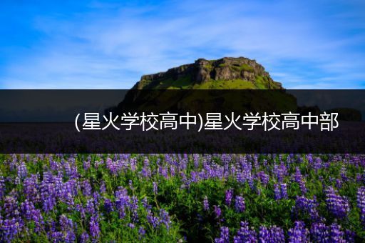 （星火学校高中)星火学校高中部