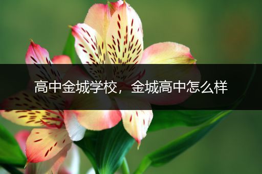 高中金城学校，金城高中怎么样