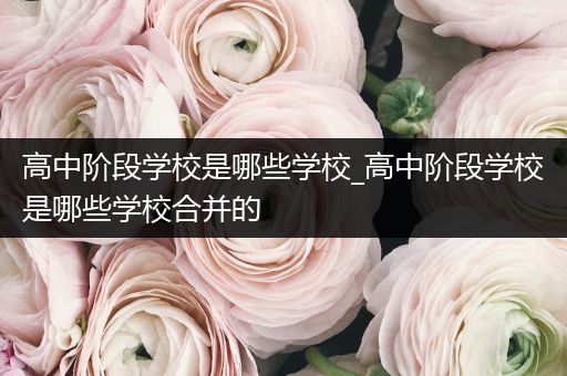 高中阶段学校是哪些学校_高中阶段学校是哪些学校合并的