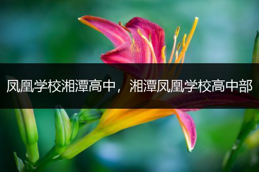 凤凰学校湘潭高中，湘潭凤凰学校高中部