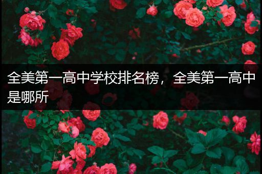 全美第一高中学校排名榜，全美第一高中是哪所