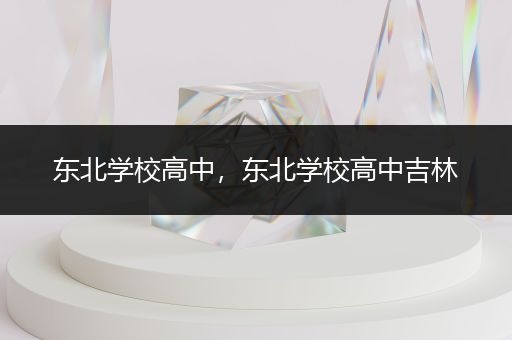 东北学校高中，东北学校高中吉林