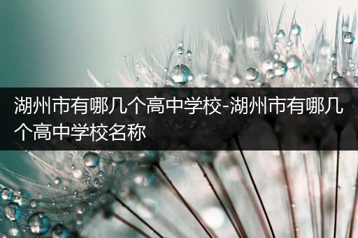 湖州市有哪几个高中学校-湖州市有哪几个高中学校名称
