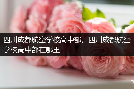 四川成都航空学校高中部，四川成都航空学校高中部在哪里