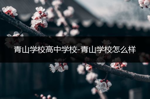 青山学校高中学校-青山学校怎么样