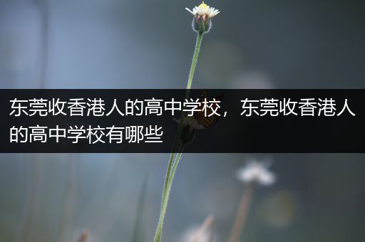 东莞收香港人的高中学校，东莞收香港人的高中学校有哪些