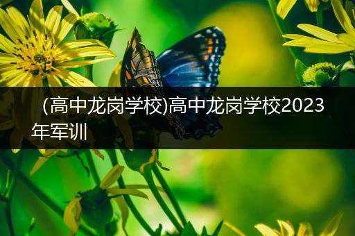 （高中龙岗学校)高中龙岗学校2023年军训