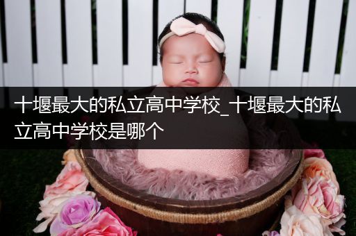 十堰最大的私立高中学校_十堰最大的私立高中学校是哪个