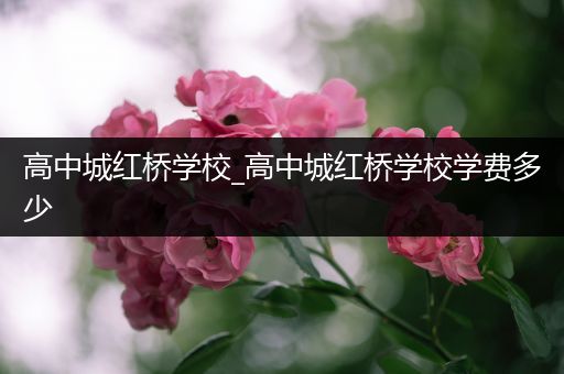 高中城红桥学校_高中城红桥学校学费多少