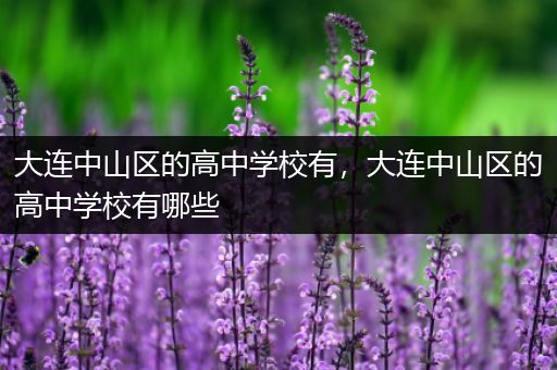 大连中山区的高中学校有，大连中山区的高中学校有哪些