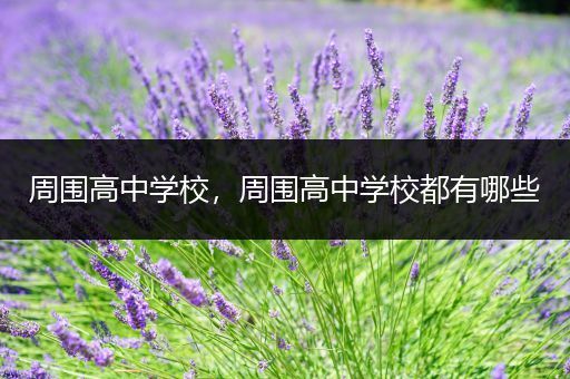 周围高中学校，周围高中学校都有哪些
