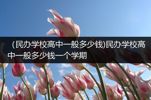 （民办学校高中一般多少钱)民办学校高中一般多少钱一个学期