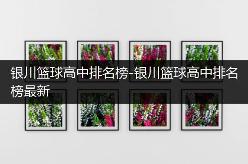银川篮球高中排名榜-银川篮球高中排名榜最新