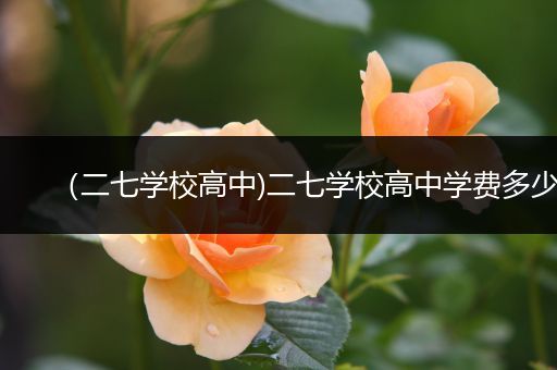 （二七学校高中)二七学校高中学费多少