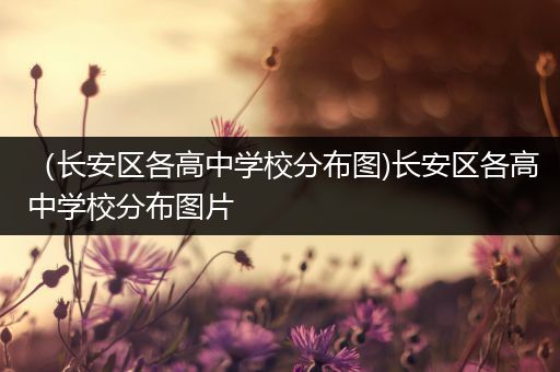 （长安区各高中学校分布图)长安区各高中学校分布图片