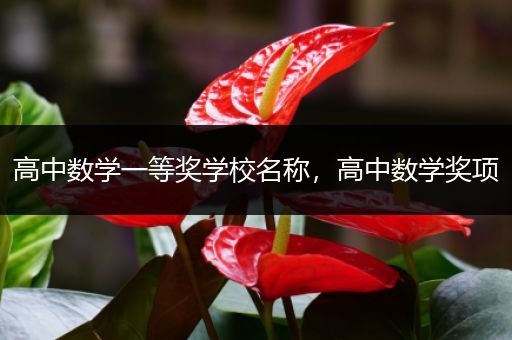 高中数学一等奖学校名称，高中数学奖项