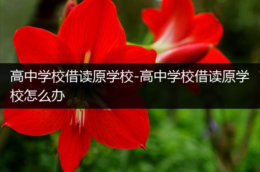 高中学校借读原学校-高中学校借读原学校怎么办