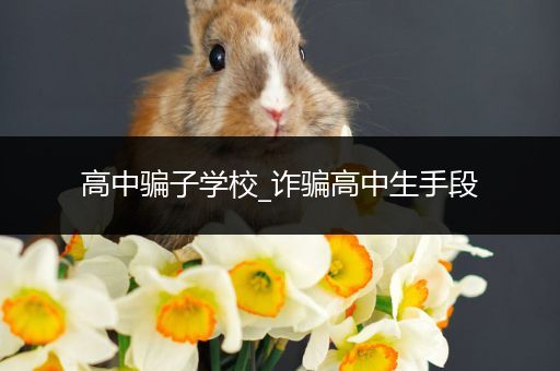 高中骗子学校_诈骗高中生手段