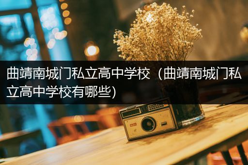 曲靖南城门私立高中学校（曲靖南城门私立高中学校有哪些）