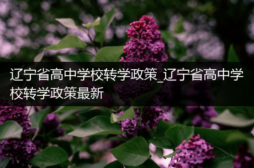 辽宁省高中学校转学政策_辽宁省高中学校转学政策最新