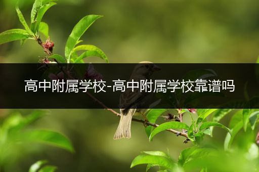 高中附属学校-高中附属学校靠谱吗