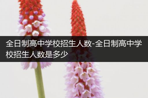 全日制高中学校招生人数-全日制高中学校招生人数是多少