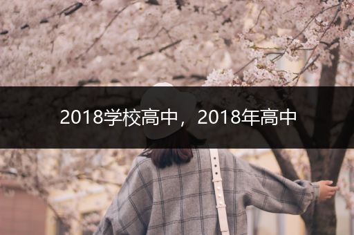 2018学校高中，2018年高中