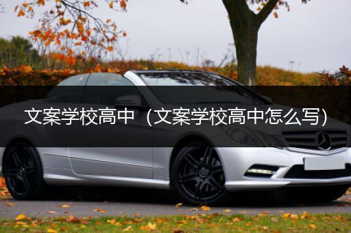 文案学校高中（文案学校高中怎么写）
