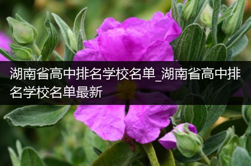 湖南省高中排名学校名单_湖南省高中排名学校名单最新