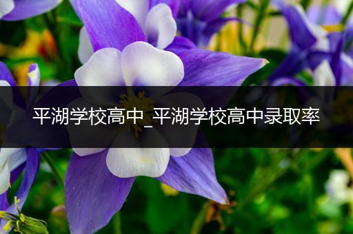 平湖学校高中_平湖学校高中录取率