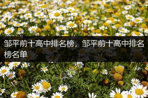 邹平前十高中排名榜，邹平前十高中排名榜名单