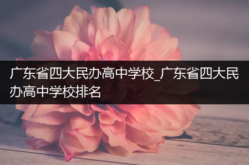 广东省四大民办高中学校_广东省四大民办高中学校排名
