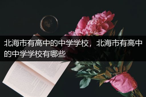 北海市有高中的中学学校，北海市有高中的中学学校有哪些