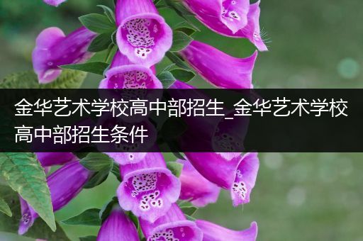 金华艺术学校高中部招生_金华艺术学校高中部招生条件