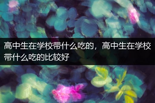 高中生在学校带什么吃的，高中生在学校带什么吃的比较好