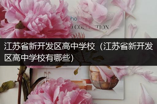江苏省新开发区高中学校（江苏省新开发区高中学校有哪些）