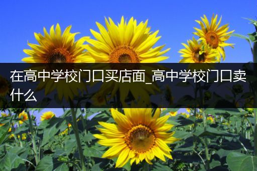 在高中学校门口买店面_高中学校门口卖什么