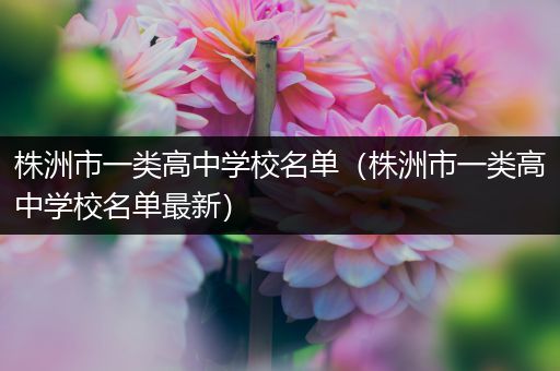 株洲市一类高中学校名单（株洲市一类高中学校名单最新）