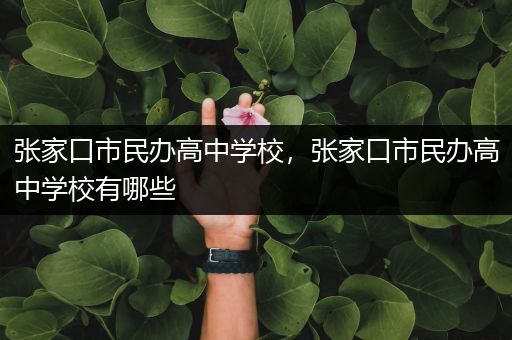 张家口市民办高中学校，张家口市民办高中学校有哪些