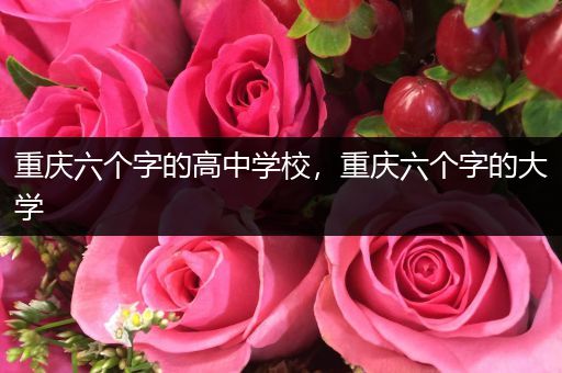 重庆六个字的高中学校，重庆六个字的大学