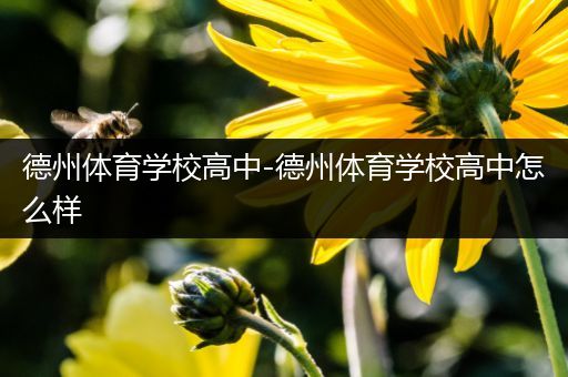 德州体育学校高中-德州体育学校高中怎么样