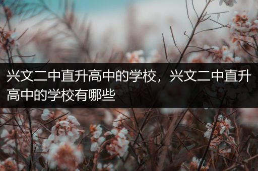 兴文二中直升高中的学校，兴文二中直升高中的学校有哪些