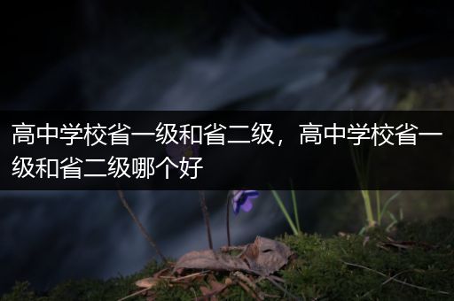 高中学校省一级和省二级，高中学校省一级和省二级哪个好