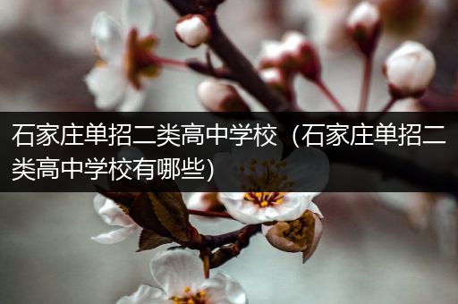 石家庄单招二类高中学校（石家庄单招二类高中学校有哪些）