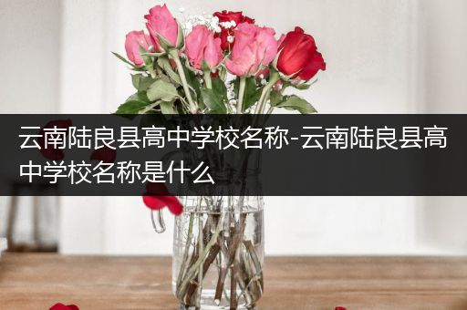 云南陆良县高中学校名称-云南陆良县高中学校名称是什么