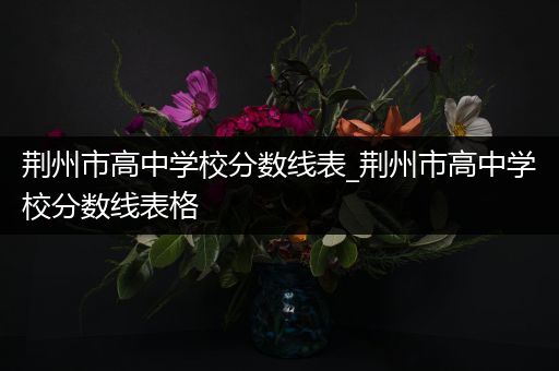 荆州市高中学校分数线表_荆州市高中学校分数线表格