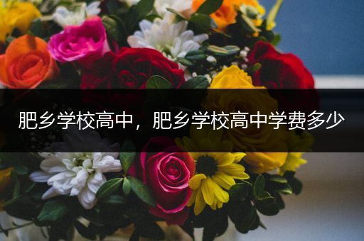 肥乡学校高中，肥乡学校高中学费多少