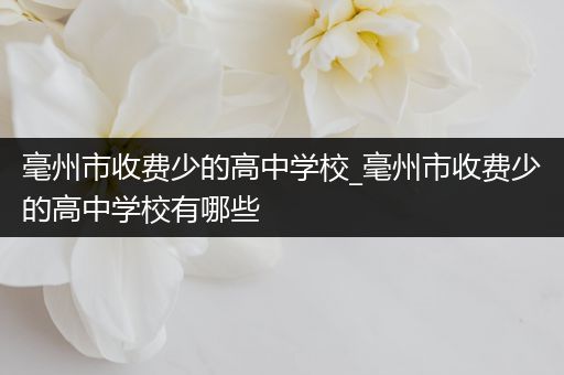 毫州市收费少的高中学校_毫州市收费少的高中学校有哪些