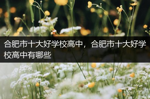 合肥市十大好学校高中，合肥市十大好学校高中有哪些